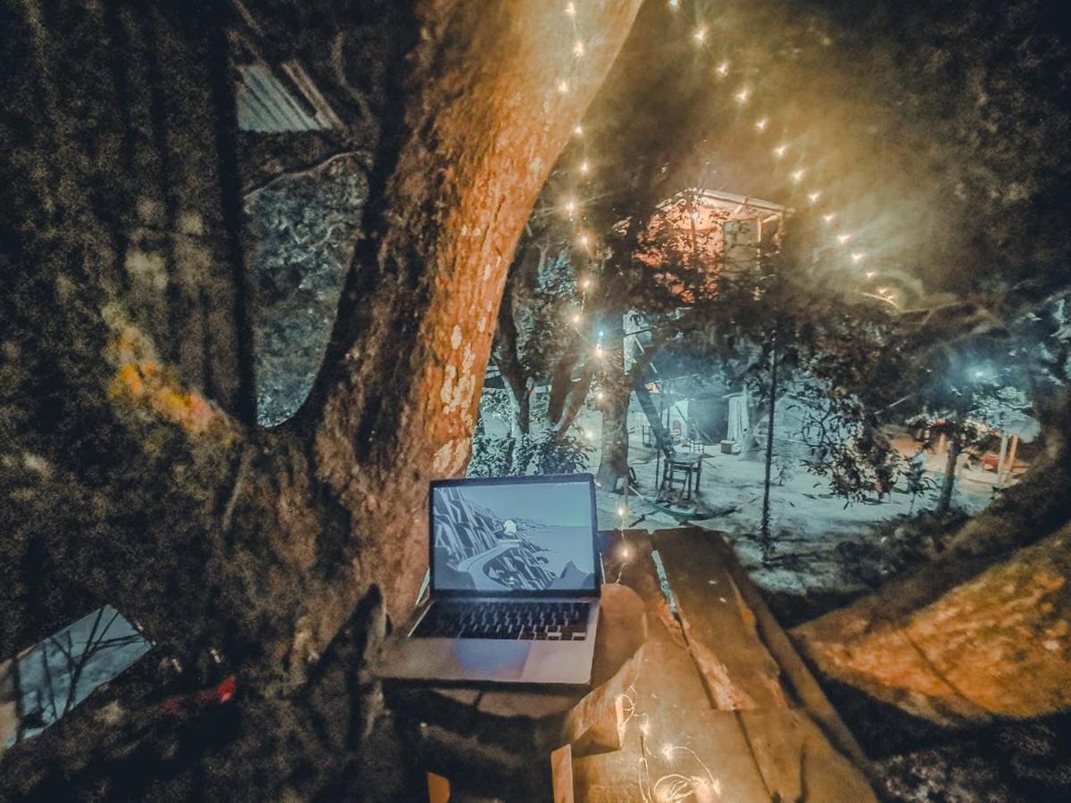 Pemsee'S Tree Town - Eco-Friendly,Tree House Hostel Sauraha Kültér fotó