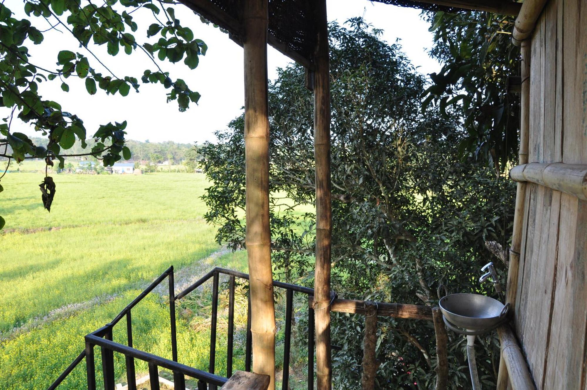Pemsee'S Tree Town - Eco-Friendly,Tree House Hostel Sauraha Kültér fotó