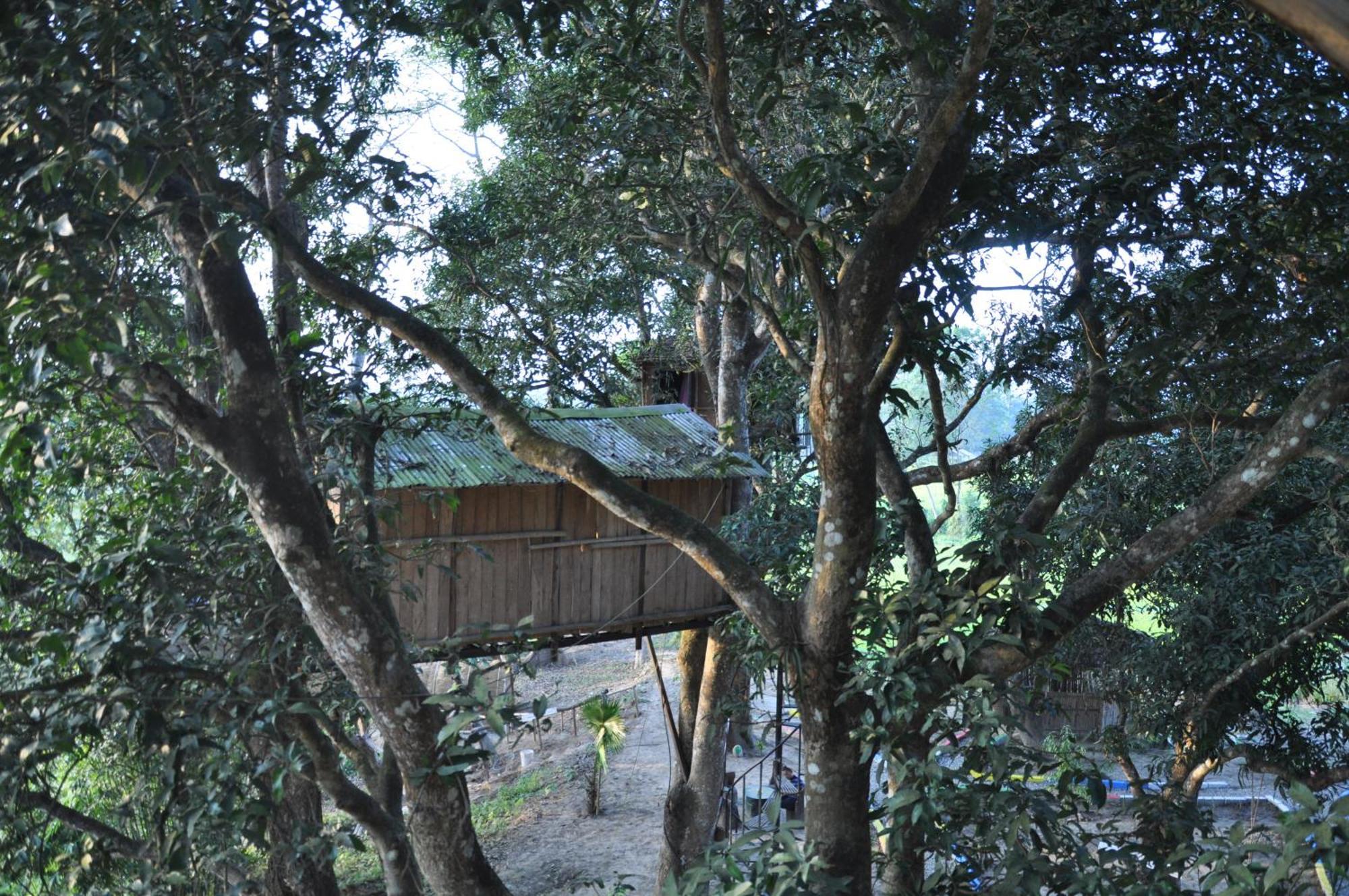 Pemsee'S Tree Town - Eco-Friendly,Tree House Hostel Sauraha Kültér fotó