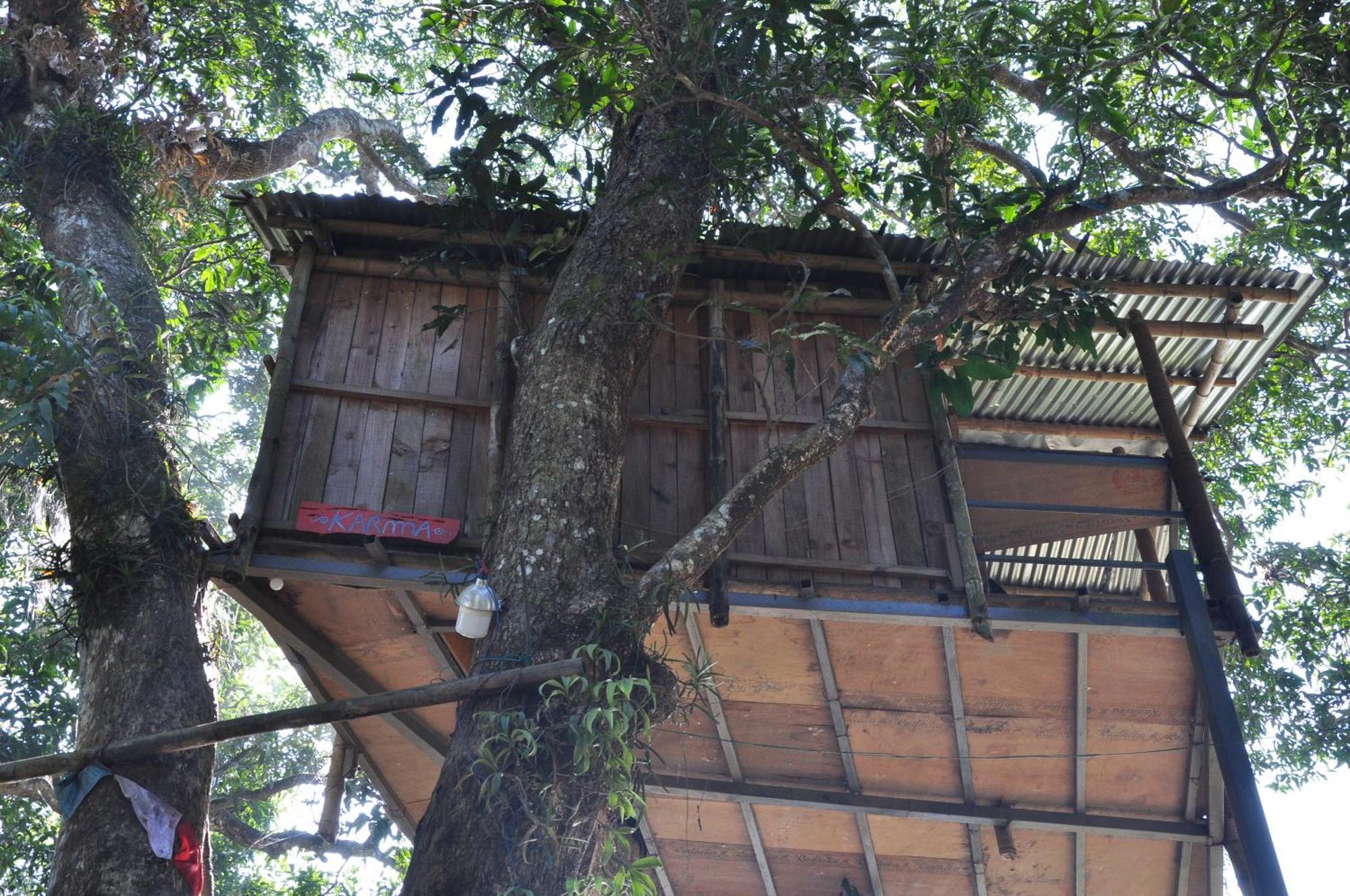 Pemsee'S Tree Town - Eco-Friendly,Tree House Hostel Sauraha Kültér fotó