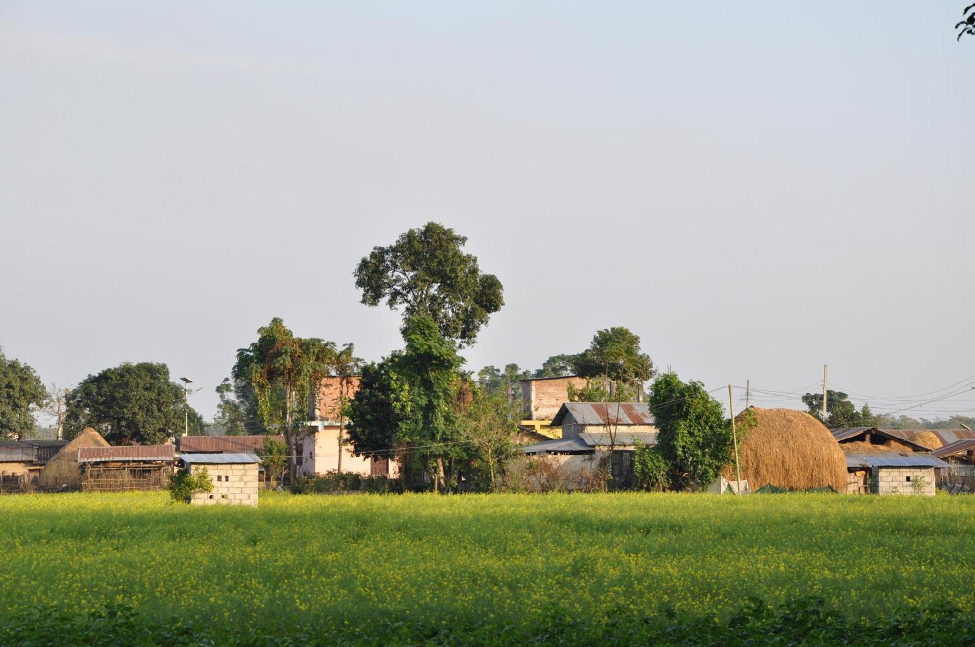 Pemsee'S Tree Town - Eco-Friendly,Tree House Hostel Sauraha Kültér fotó