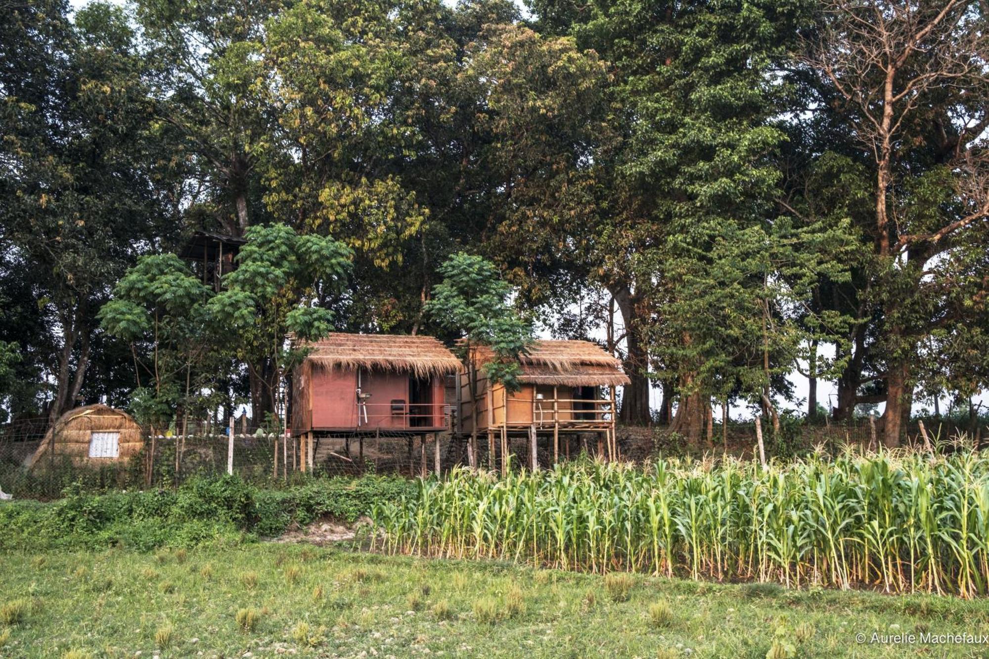 Pemsee'S Tree Town - Eco-Friendly,Tree House Hostel Sauraha Kültér fotó