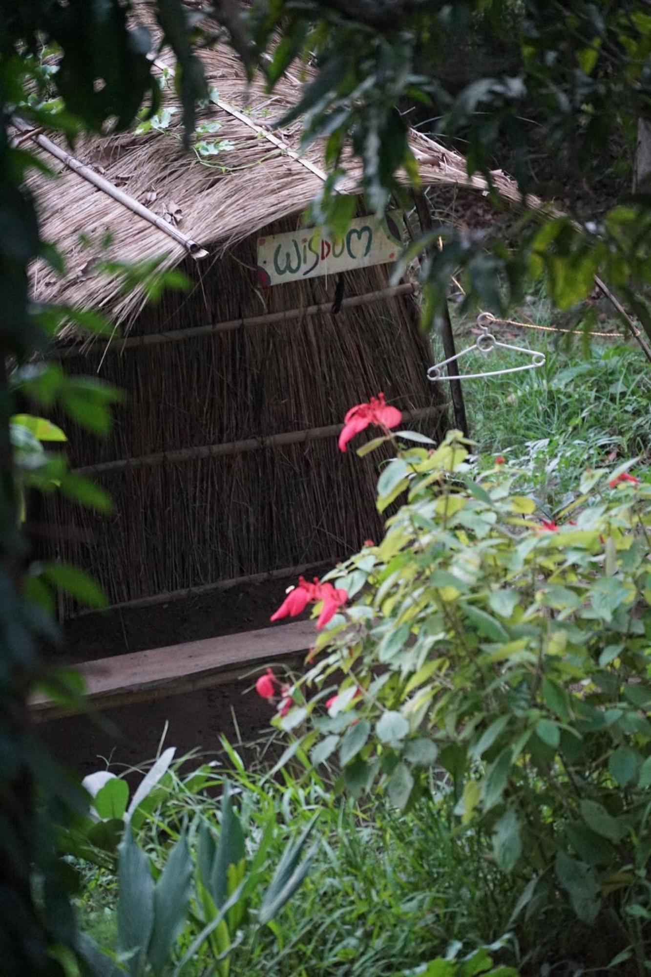 Pemsee'S Tree Town - Eco-Friendly,Tree House Hostel Sauraha Kültér fotó