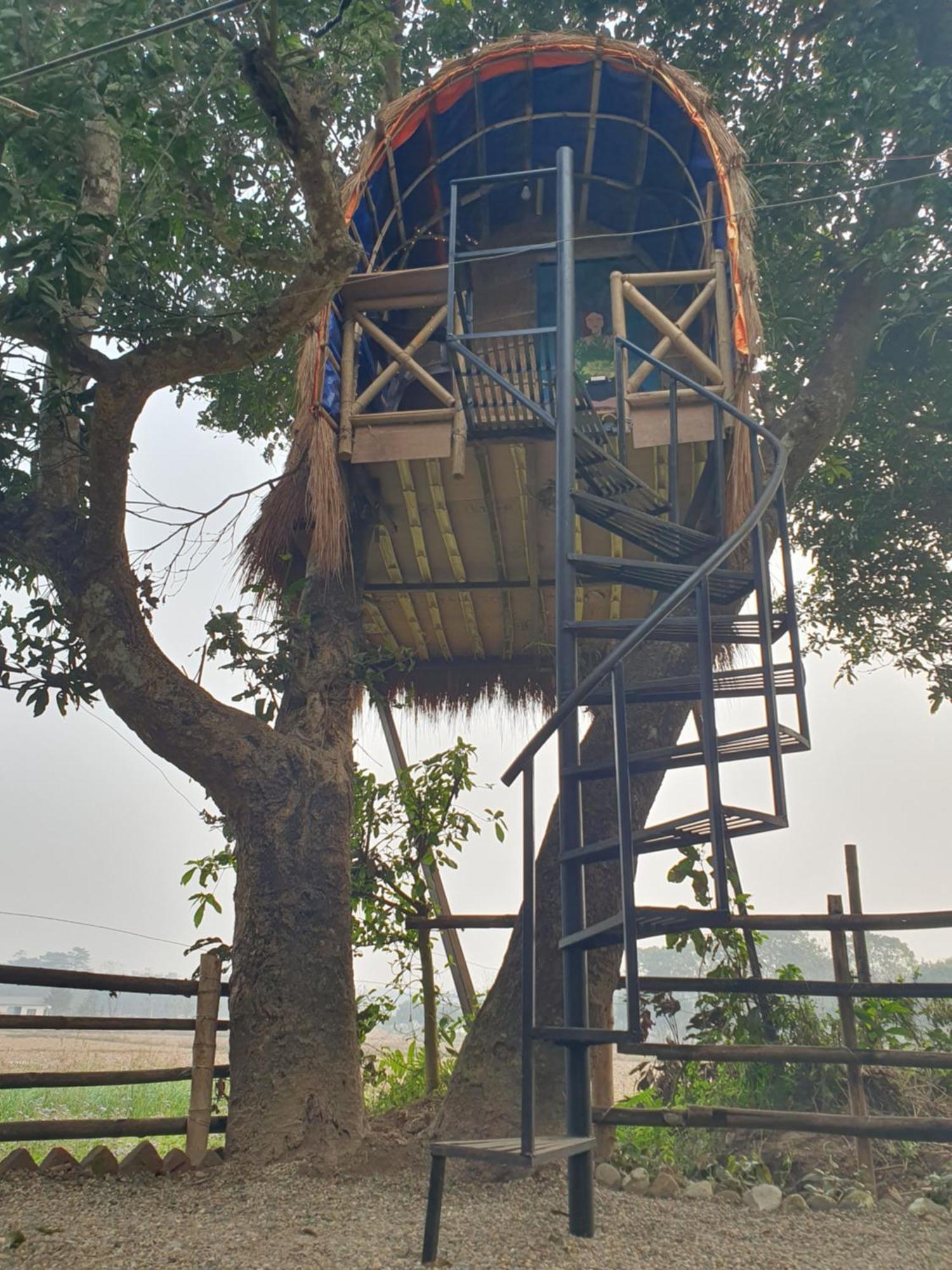 Pemsee'S Tree Town - Eco-Friendly,Tree House Hostel Sauraha Kültér fotó