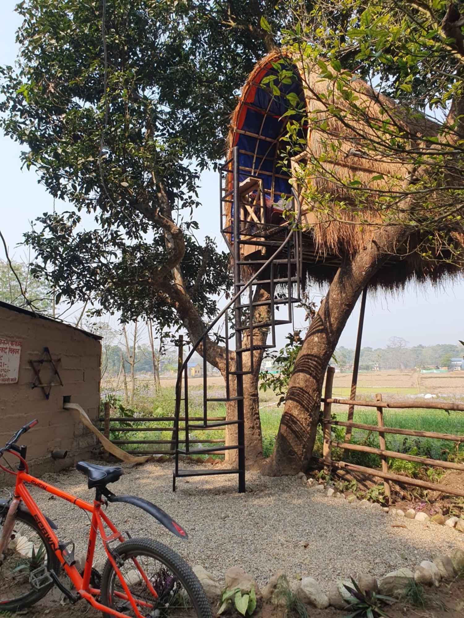 Pemsee'S Tree Town - Eco-Friendly,Tree House Hostel Sauraha Kültér fotó