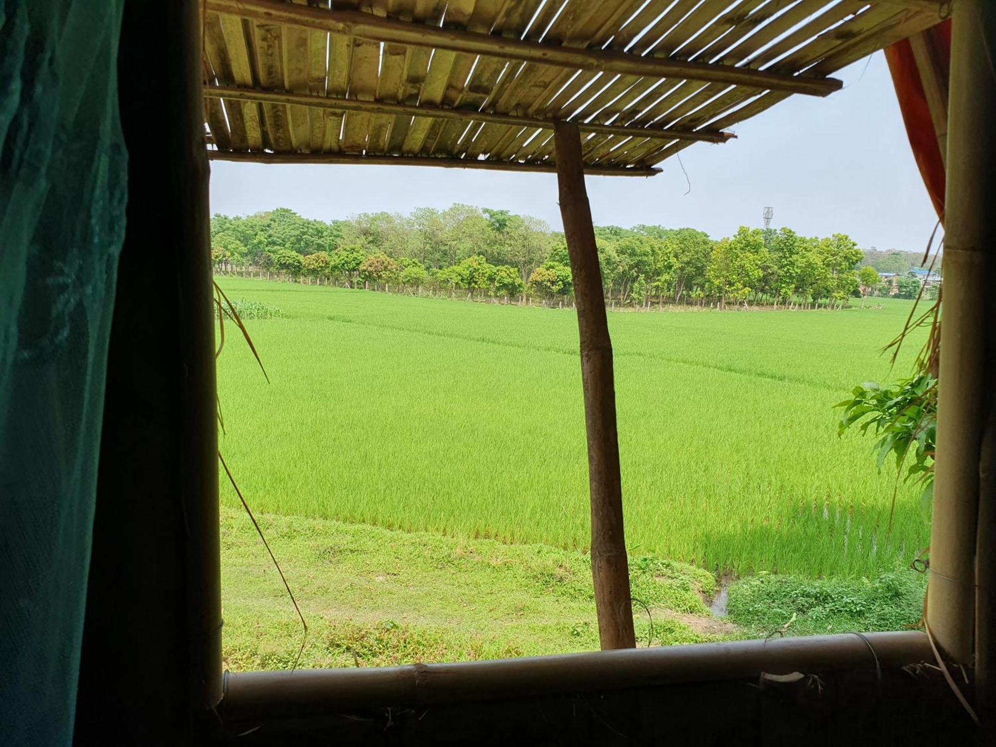 Pemsee'S Tree Town - Eco-Friendly,Tree House Hostel Sauraha Kültér fotó